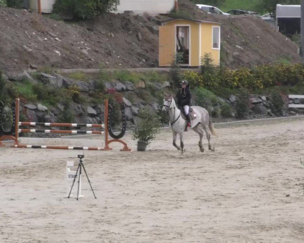 Reitturnier Wolfsberg 2022