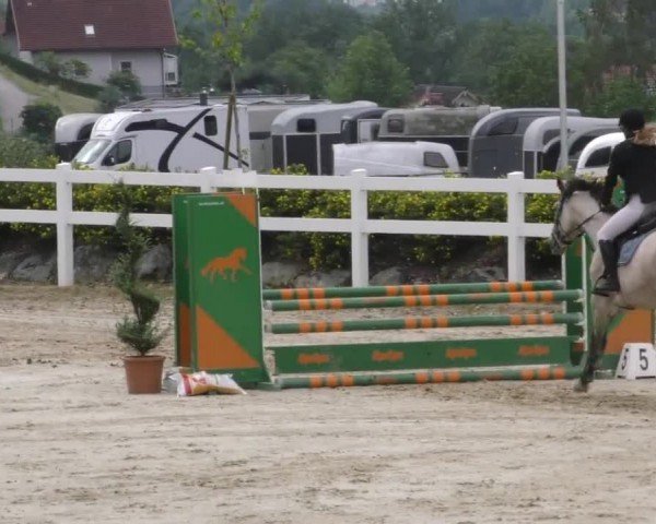 Reitturnier St. Margarethen-Stückler 2022