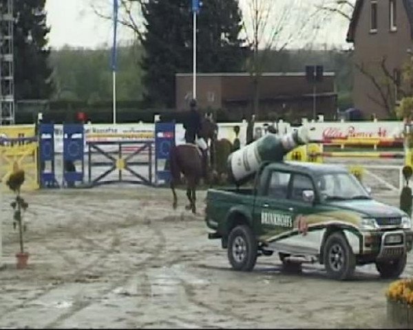 Reitturnier Werne-Lenklar 2012