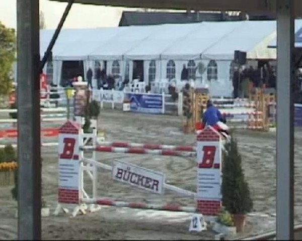Reitturnier Werne-Lenklar 2012