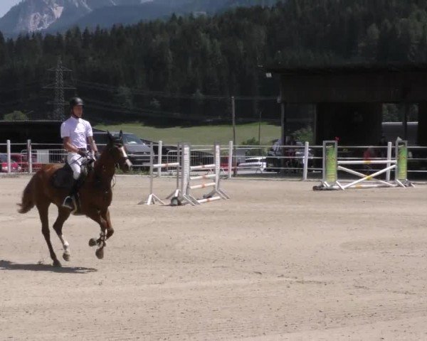 Reitturnier Villach-Stiegerhof 2022