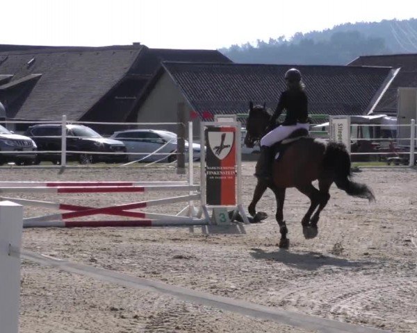 Reitturnier Villach-Stiegerhof 2022