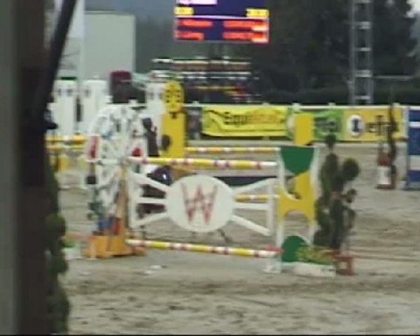 Reitturnier Werne-Lenklar 2012