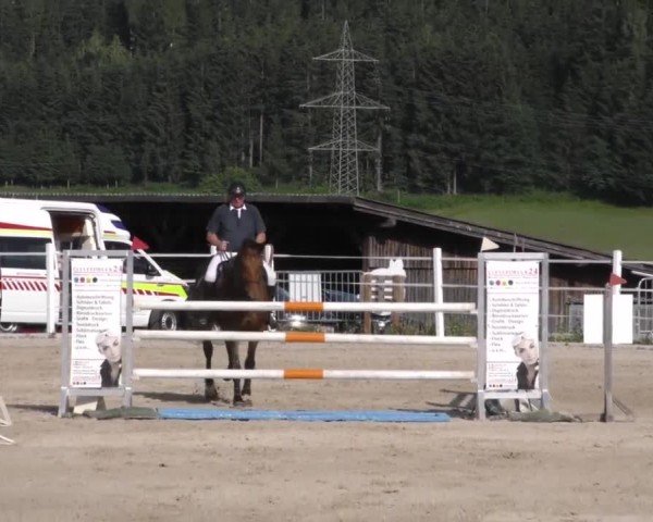 Reitturnier Villach-Stiegerhof 2022