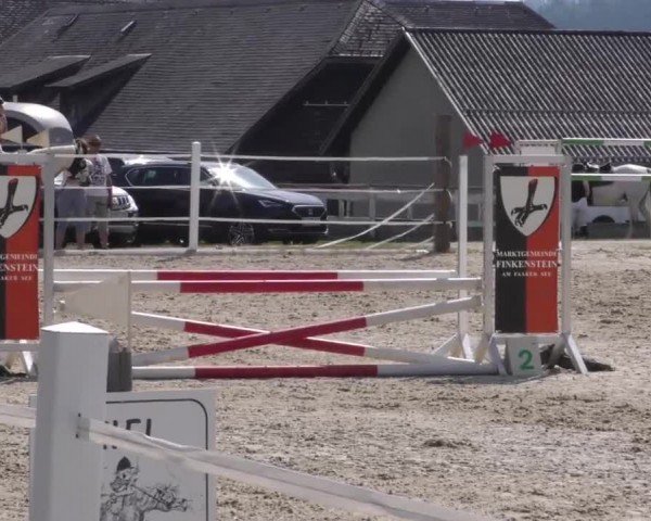 Reitturnier Villach-Stiegerhof 2022