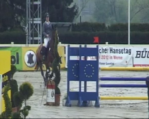 Werne-Lenklarer Reitertage vom 13.-15.+17.-22.04.2012 auf der Reitsportanlage Gripshöver