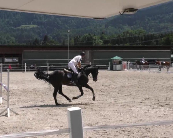 Reitturnier Villach-Stiegerhof 2022