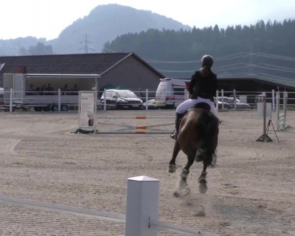 Reitturnier Villach-Stiegerhof 2022
