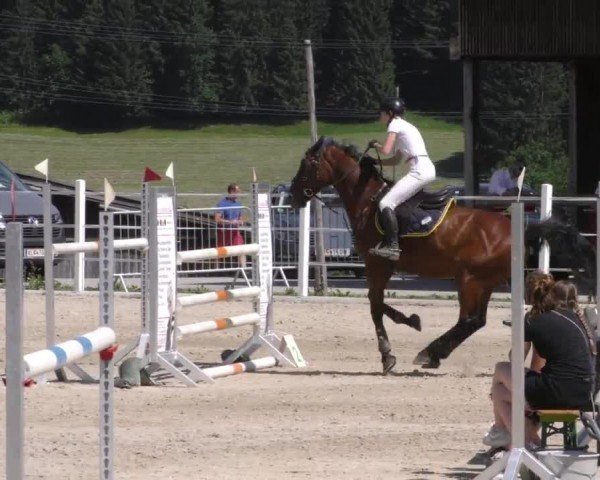Reitturnier Villach-Stiegerhof 2022