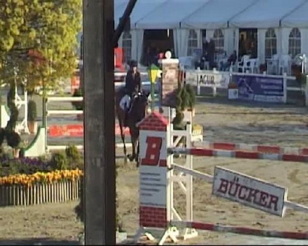 Werne-Lenklarer Reitertage vom 13.-15.+17.-22.04.2012 auf der Reitsportanlage Gripshöver
