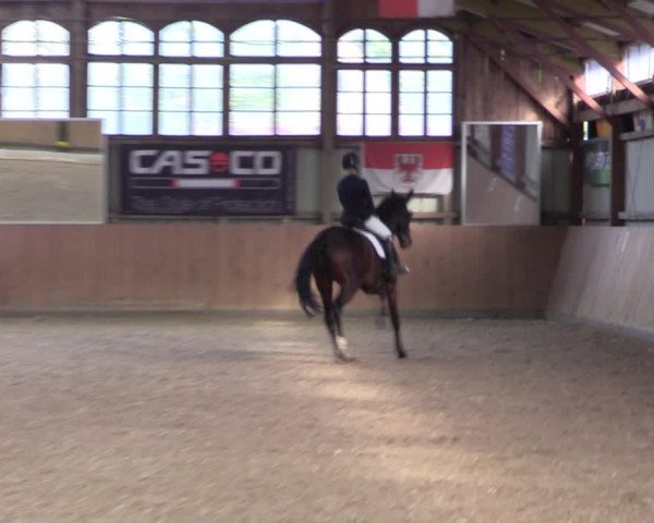 Reitturnier Elisenau 2021