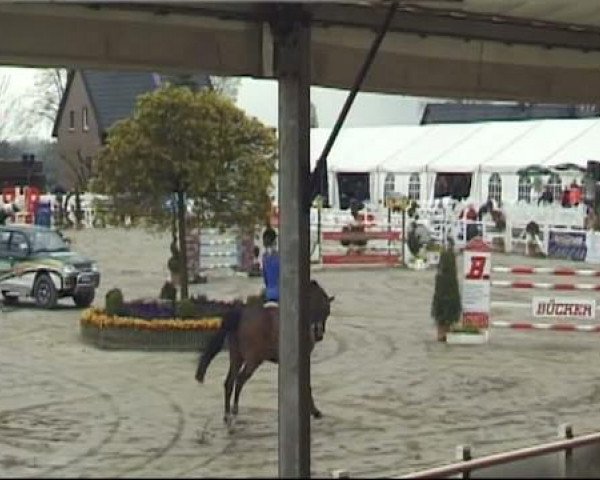 Werne-Lenklarer Reitertage vom 13.-15.+17.-22.04.2012 auf der Reitsportanlage Gripshöver