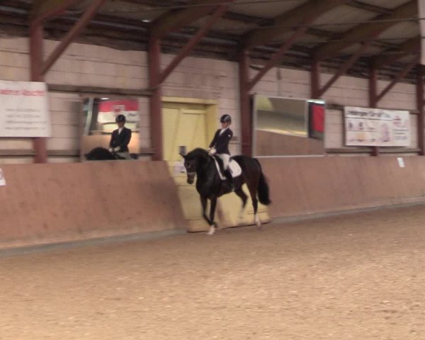 Reitturnier Elisenau 2021