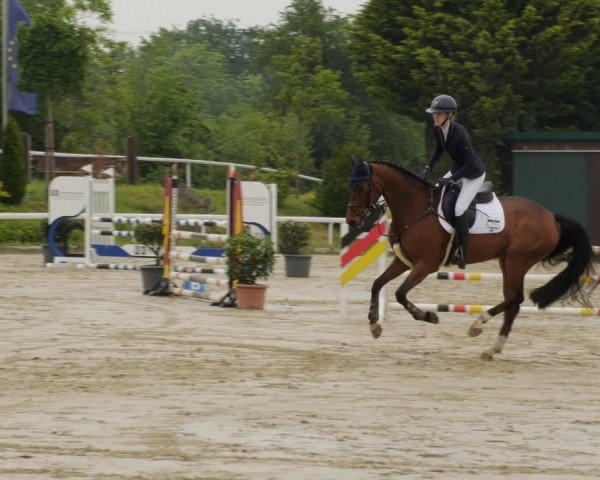 Reitturnier Bornheim-Widdig 2024