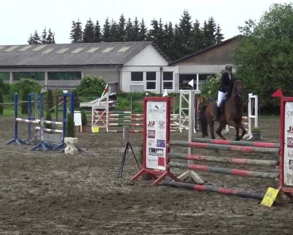 Reitturnier Klagenfurt 2022