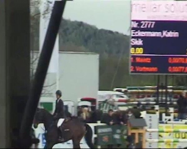 Werne-Lenklarer Reitertage vom 13.-15.+17.-22.04.2012 auf der Reitsportanlage Gripshöver