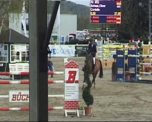 Werne-Lenklarer Reitertage vom 13.-15.+17.-22.04.2012 auf der Reitsportanlage Gripshöver