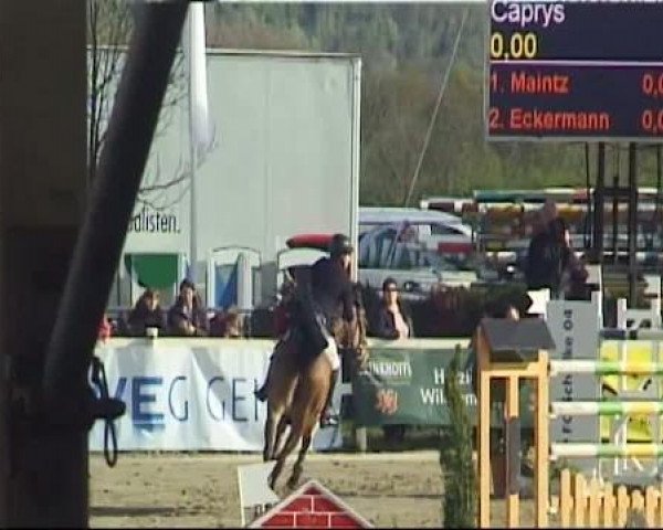 Reitturnier Werne-Lenklar 2012