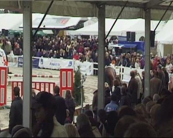 Reitturnier Werne-Lenklar 2012