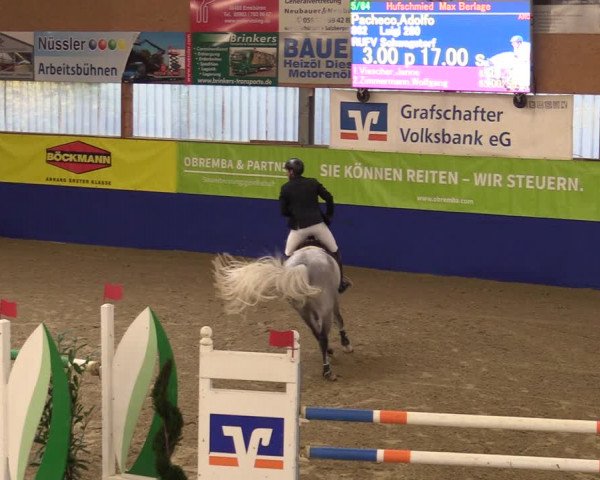 Euregio Springturnier Isterberg 2021