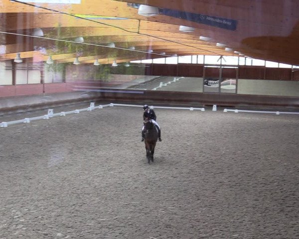 Dressurturnier mit Hallenchampionat Tremsdorf, Eichenhof 2021