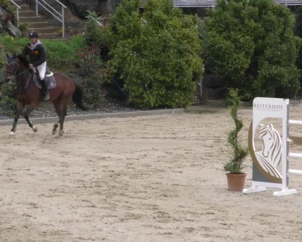 Reitturnier Wolfsberg 2022