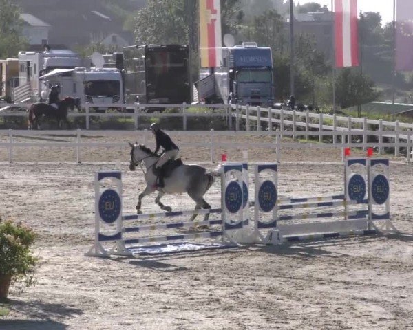Reitturnier Wolfsberg 2022