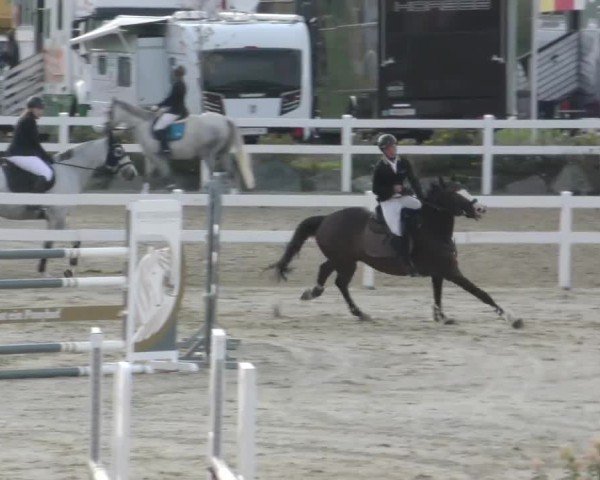 Reitturnier Wolfsberg 2022