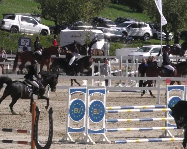 Reitturnier Wolfsberg 2022