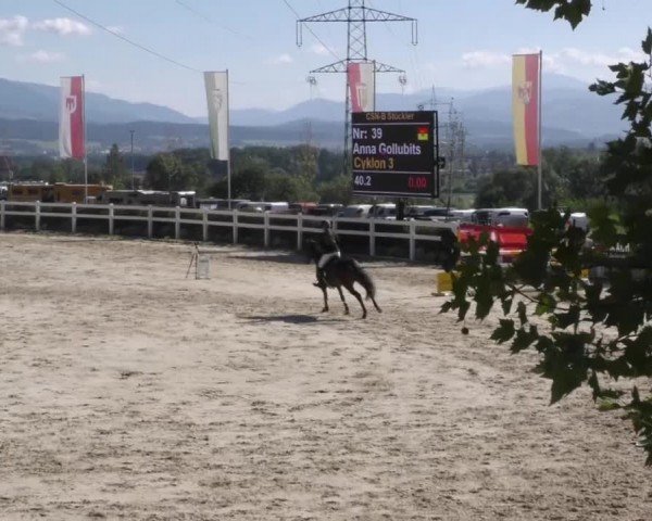 Reitturnier Wolfsberg 2022