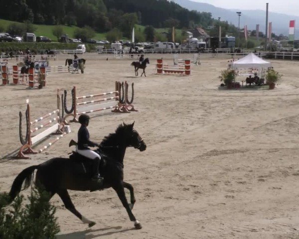 Reitturnier Wolfsberg 2022