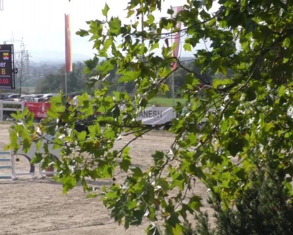 Reitturnier Wolfsberg 2022