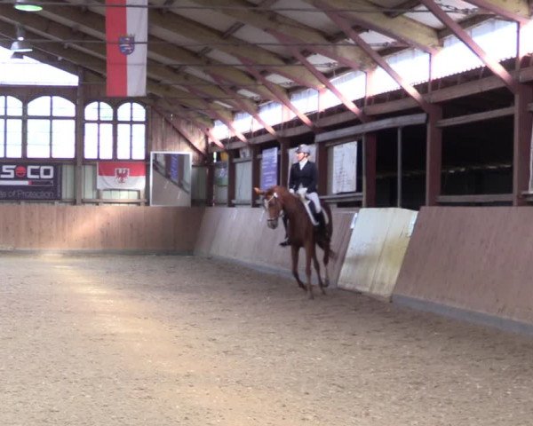 Reitturnier Elisenau 2021