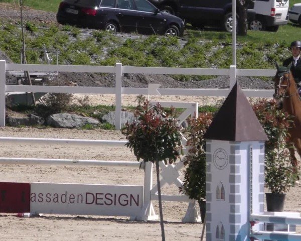 Reitturnier St. Margarethen 2022