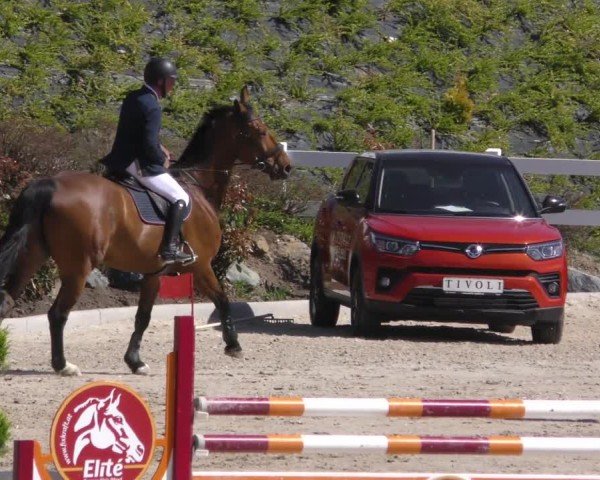 Reitturnier St. Margarethen 2022