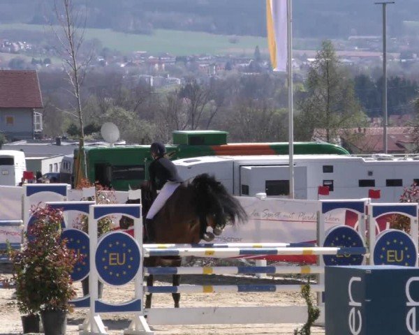 Reitturnier St. Margarethen 2022