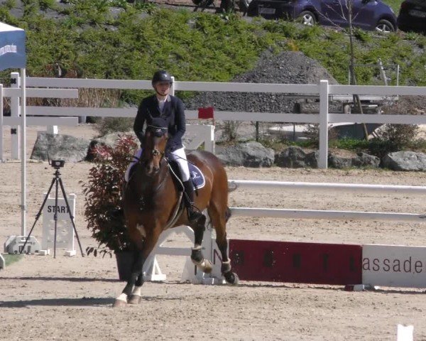 Reitturnier St. Margarethen 2022