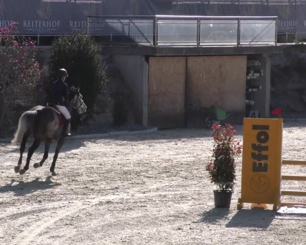 Reitturnier St. Margarethen 2022