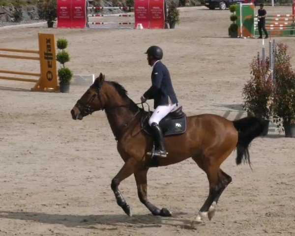 Reitturnier St. Margarethen 2022