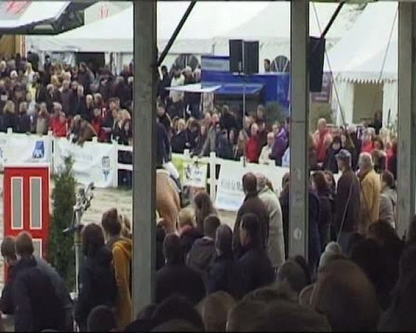 Reitturnier Werne-Lenklar 2012