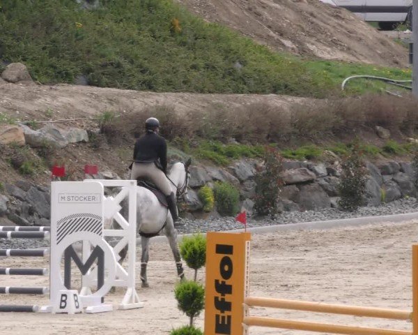 Reitturnier St. Margarethen 2022