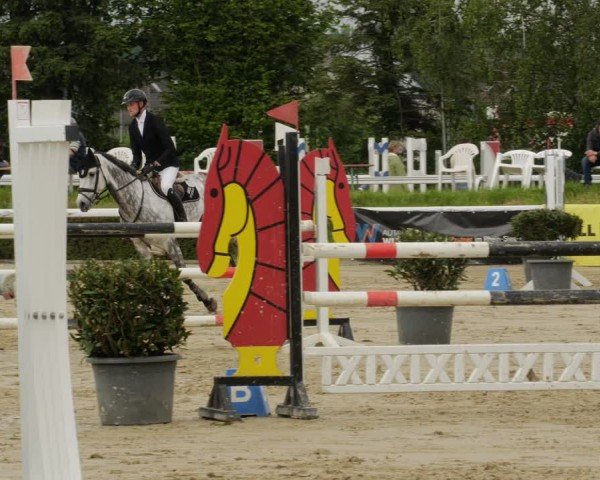 Reitturnier Bornheim-Widdig 2024