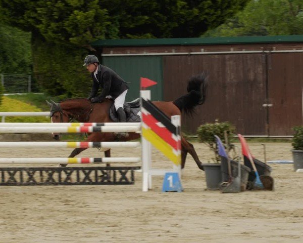 Reitturnier Bornheim-Widdig 2024