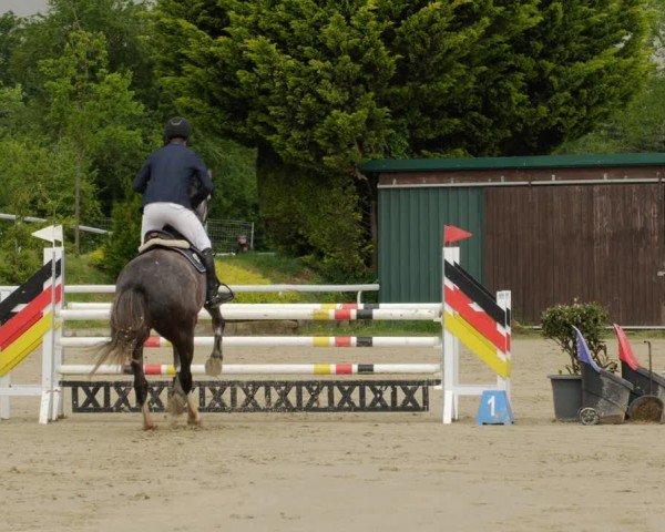 Reitturnier Bornheim-Widdig 2024