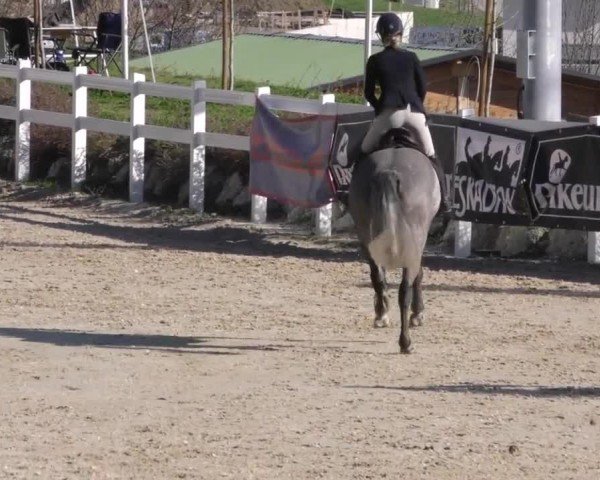 Reitturnier St. Margarethen 2022
