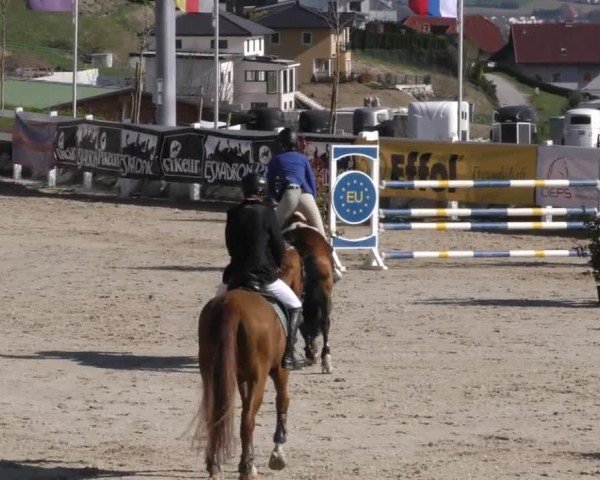 Reitturnier St. Margarethen 2022