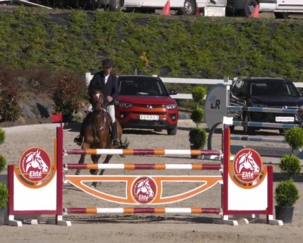 Reitturnier St. Margarethen 2022