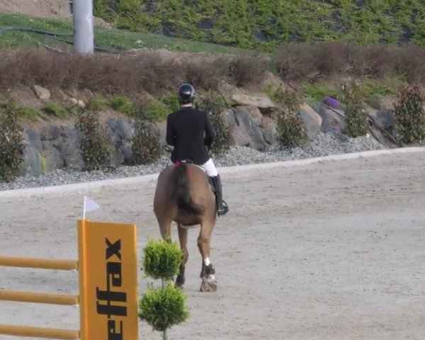 Reitturnier St. Margarethen 2022