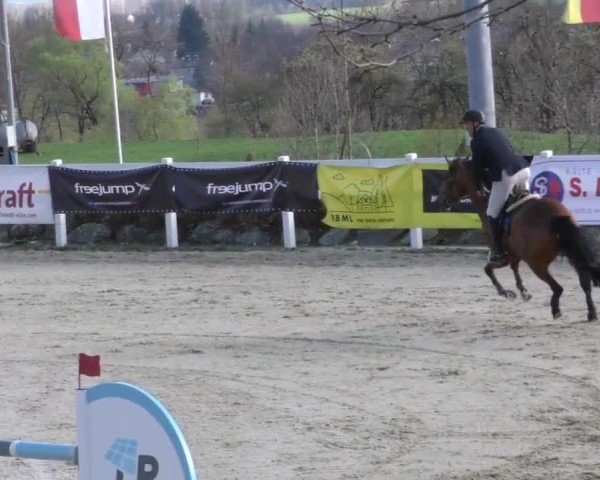 Reitturnier St. Margarethen 2022