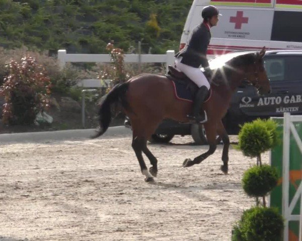 Reitturnier St. Margarethen 2022